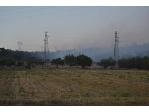 GÜNCELLEME - Manisa'da çıkan orman yangını kontrol altına alındı