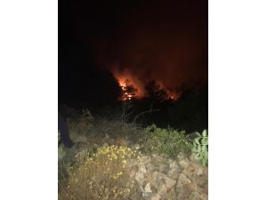 Malatya'da orman ve otluk alan yangını