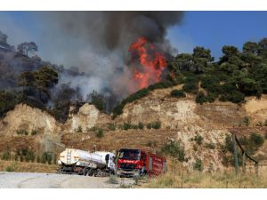 GÜNCELLEME - Aydın'da zeytin ve incir ağaçlarının bulunduğu alanda yeniden yangın çıktı