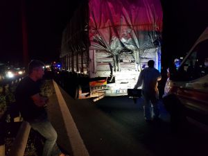 Kocaeli'de zincirleme trafik kazasında 1 kişi öldü