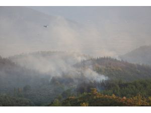 GÜNCELLEME - Muğla'da çıkan orman yangınına müdahale ediliyor
