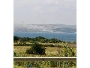 GÜNCELLEME - Çanakkale'de çıkan orman yangını kontrol altına alındı