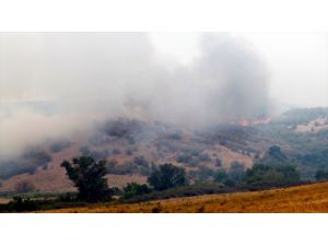 Bulgaristan-Türkiye sınırındaki yangın