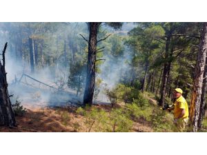 Kütahya'daki orman yangınlarının yıldırım düşmesinden çıktığı belirlendi