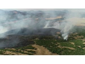 GÜNCELLEME - Elazığ'da 1000 dekar ormanlık alanın zarar gördüğü yangın kontrol altına alındı
