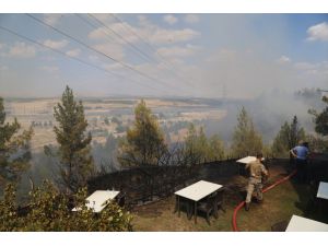 Gaziantep'teki orman yangınında 5 hektar alan zarar gördü