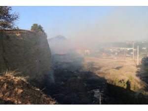 GÜNCELLEME 2 - Sakarya'daki orman yangını kontrol altına alındı