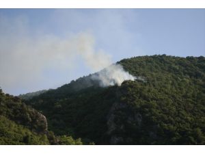 Bursa'da bağ evinde çıkan ve ormanlık alana sıçrayan yangın söndürüldü