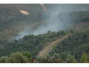 Bilecik'te çıkan orman yangınında 1,5 hektarlık alan zarar gördü