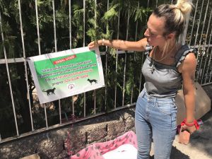 Hayvansever kadın sokak kedilerinin kulübelerine zarar verildiği iddiasıyla şikayetçi oldu