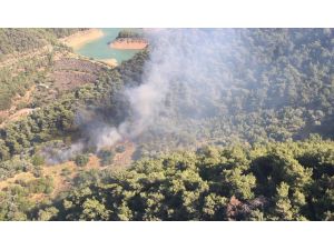 Tarım ve Orman Bakanı Pakdemirli İzmir'deki orman yangınını havadan takip etti