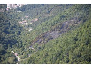 Zonguldak'ta evden ormana sıçrayan yangın söndürüldü