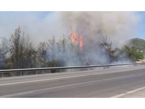 Antalya'da çıkan orman yangını hava ve karadan müdahaleyle söndürüldü