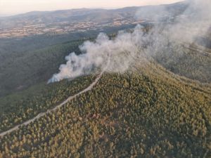 Çanakkale'de 2 dönüm ormanlık alan yandı