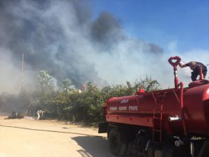 Antalya'da hamamda başlayan yangın ağaçlık alana sıçradı