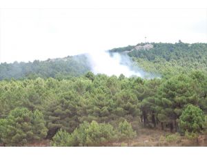 GÜNCELLEME - İstanbul'da Aydos Ormanı'nda yangın