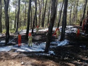 Antalya'da çıkan yangınlar söndürüldü