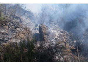 Antalya'da otluk ve çalılık alanda çıkan yangın söndürüldü