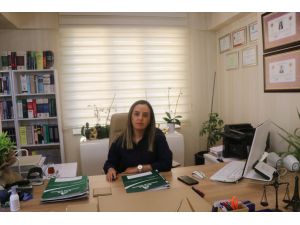 GÜNCELLEME - Kilis'teki kadın doktora tehdit ve şantaj iddiasıyla ilgili açıklama
