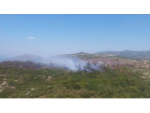 GÜNCELLEME  - İzmir'de çıkan orman yangını kontrol altına alındı