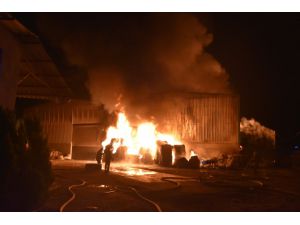 Adana'da geri dönüşüm fabrikasında çıkan yangına müdahale ediliyor