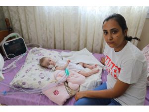 SMA hastası Umut Kayra'nın ailesinin ilaç mutluluğu