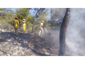 Datça'da orman yangını