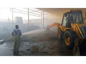 İzmir'de çıkan yangında 40 ton saman yandı