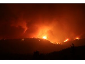 Adana'daki orman yangınına müdahale sürüyor
