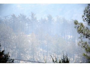 Adana'daki orman yangınına havadan müdahaleye ara verildi