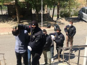 Şırnak'ta terör örgütü PKK/KCK operasyonunda 3 kişi yakalandı