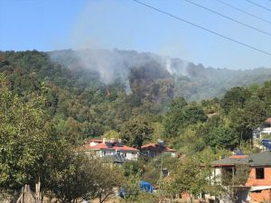 GÜNCELLEME - Sakarya'da çıkan orman yangını söndürüldü