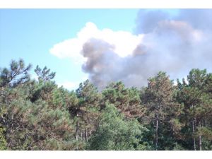 GÜNCELLEME - Ataşehir'de ormanlık alanda çıkan yangın söndürüldü