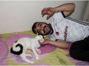 Sağlık personeli ile yaralı kedi arasında "siyah-beyaz" bir şefkat hikayesi