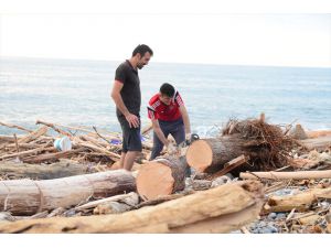 Kışlık yakacak ihtiyacı için selin Karadeniz'e sürüklediği odunları topluyorlar