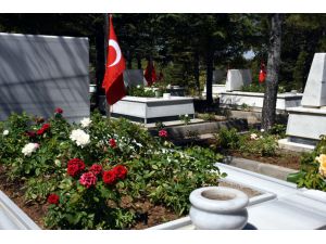 Kırşehir'de şehitliğe 600 kırmızı beyaz gül fidanı dikildi