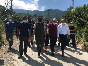Tarım ve Orman Bakanı Pakdemirli, sel bölgesinde incelemelerde bulundu: