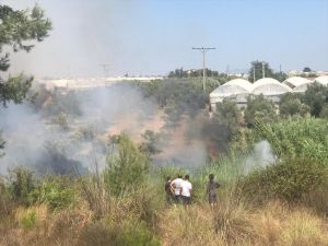 Antalya'da otluk ve çalılık alanda yangın