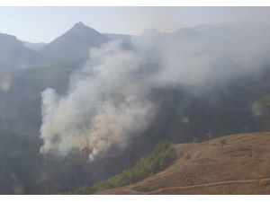 GÜNCELLEME - Adana'da orman yangını