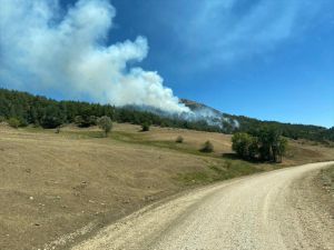 Amasya'da çıkan orman yangınına müdahale ediliyor
