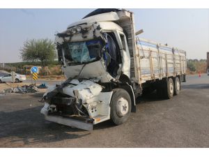 Adana'da iki kamyon çarpıştı: 1 yaralı