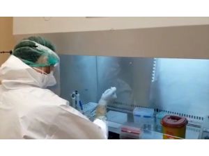 Edirne Devlet Hastanesi Moleküler PCR laboratuvarı kurulan ikinci basamak ilk devlet hastanesi oldu
