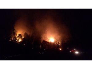 Mersin'de çıkan orman yangını söndürüldü
