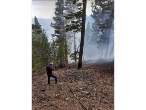 Sivas'ta 4 hektar ormanlık alan yandı