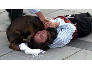 Rolü gereği yaralanıp yere düşen tiyatrocuya sokak köpeği yardım etmeye çalıştı