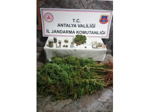 Antalya'da düzenlenen uyuşturucu operasyonunda özel okul sahibi tutuklandı