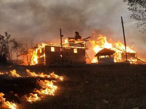 GÜNCELLEME 2 - Kastamonu'da çıkan orman yangınına müdahale ediliyor