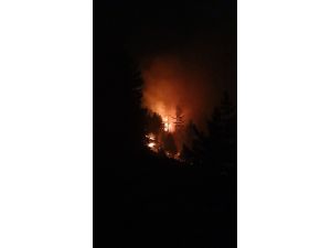 Bolu'nun Aladağ Yaylası'nda orman yangını çıktı