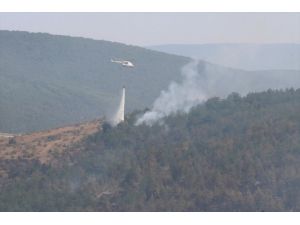 Kastamonu'daki orman yangınını söndürme çalışmaları sürüyor
