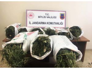 Bitlis'te 94 kilo 850 gram esrar ve 237 kök Hint keneviri ele geçirildi